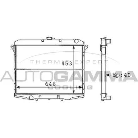 Радиатор охлаждения двигателя AUTOGAMMA A YWU0 3848683 R7JAPOJ 101128 изображение 0