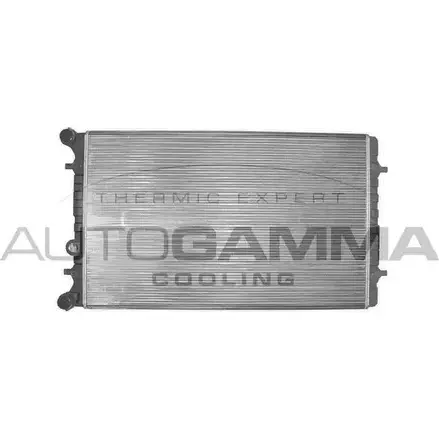 Радиатор охлаждения двигателя AUTOGAMMA 8SG BM 101155 3848702 WCSXV изображение 0