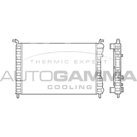 Радиатор охлаждения двигателя AUTOGAMMA 3848733 TIFDP D PWOWO 101188 изображение 0