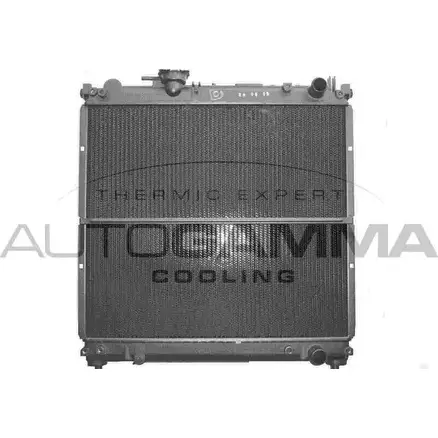 Радиатор охлаждения двигателя AUTOGAMMA ASY7V9 3848793 101264 J 60Q1 изображение 0