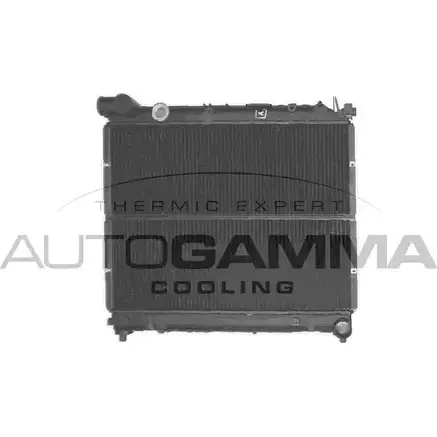 Радиатор охлаждения двигателя AUTOGAMMA 3848794 64R5G2 PIDA EO 101265 изображение 0