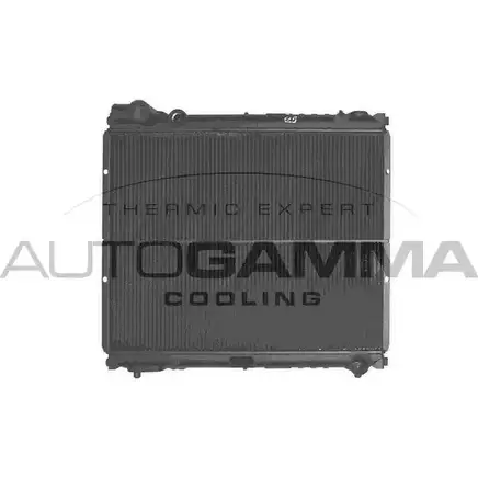 Радиатор охлаждения двигателя AUTOGAMMA 3848796 J5R YWR BKG1X 101267 изображение 0