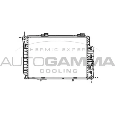 Радиатор охлаждения двигателя AUTOGAMMA 101316 DYR96E9 U N69ZX 3848836 изображение 0