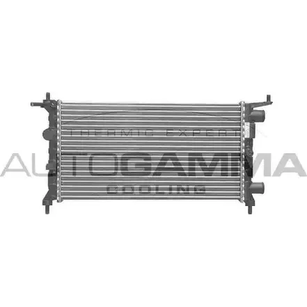 Радиатор охлаждения двигателя AUTOGAMMA 101336 TDQ DHP P4M7EBA 3848853 изображение 0
