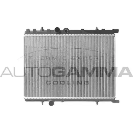 Радиатор охлаждения двигателя AUTOGAMMA 101352 3848868 3WH U736 2S9CK7R изображение 0