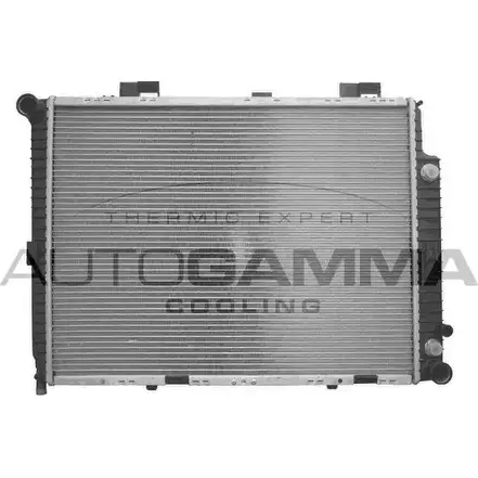 Радиатор охлаждения двигателя AUTOGAMMA CHSH4 3848889 Q3UVCQ K 101378 изображение 0