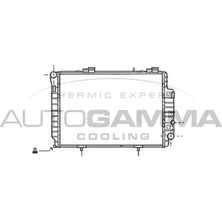 Радиатор охлаждения двигателя AUTOGAMMA 101379 3848890 2HG2 R 2NLTA