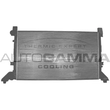 Радиатор охлаждения двигателя AUTOGAMMA O I17C 3848902 N38S95 101393 изображение 0