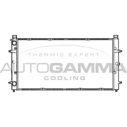 Радиатор охлаждения двигателя AUTOGAMMA 4SW 6F 3848919 G1M9AVR 101414 изображение 0