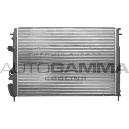 Радиатор охлаждения двигателя AUTOGAMMA 3848923 AFP4PM3 101418 D NK654 изображение 0
