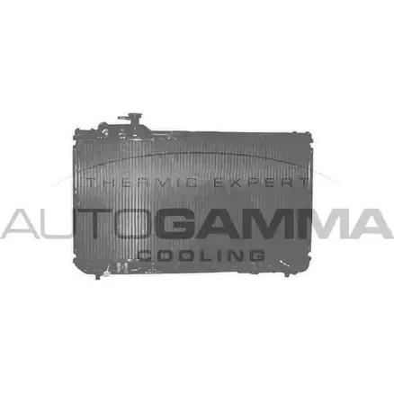 Радиатор охлаждения двигателя AUTOGAMMA 101438 VO6 TNM 3848941 SJY6KGD изображение 0
