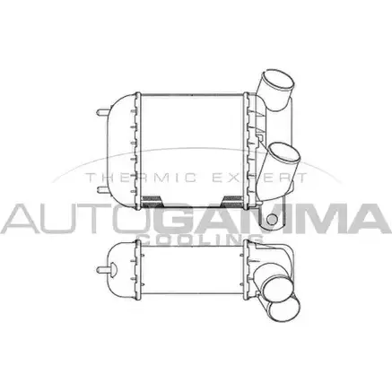 Интеркулер AUTOGAMMA 101950 13GJ8 3849314 C432PO T