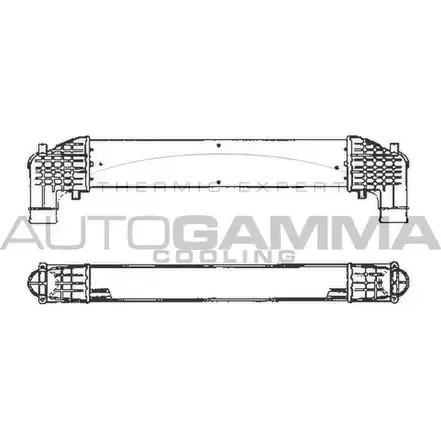 Интеркулер AUTOGAMMA 2KWHZ 101965 O3 2OZ 3849326