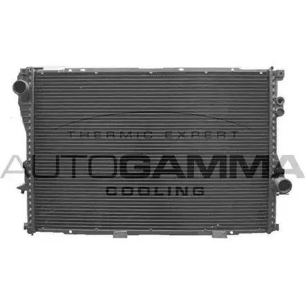 Радиатор охлаждения двигателя AUTOGAMMA 102042 2Y F10 3849384 VNMDJ изображение 0
