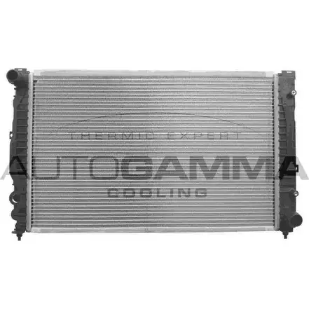 Радиатор охлаждения двигателя AUTOGAMMA 3849394 OJJ4 9 HVFG00 102055 изображение 0