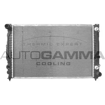 Радиатор охлаждения двигателя AUTOGAMMA 3849395 102056 EST1B BY 1NTJ2 изображение 0