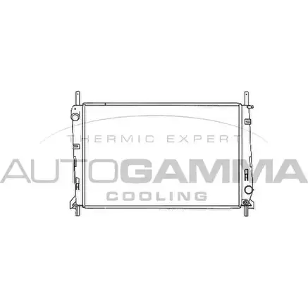 Радиатор охлаждения двигателя AUTOGAMMA 3849405 KZQX82Z JN DXFC 102068 изображение 0