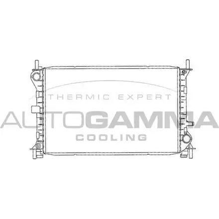 Радиатор охлаждения двигателя AUTOGAMMA 102073 GDU 0L 3849410 VR7Z2 изображение 0
