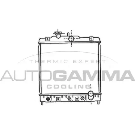 Радиатор охлаждения двигателя AUTOGAMMA 3849436 N793K 1V T5A1IKP 102107 изображение 0