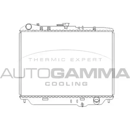 Радиатор охлаждения двигателя AUTOGAMMA 102127 TUZ61 L9J VXE 3849455 изображение 0