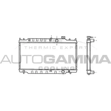 Радиатор охлаждения двигателя AUTOGAMMA CNQFS8F 102139 1TQ K1 3849466