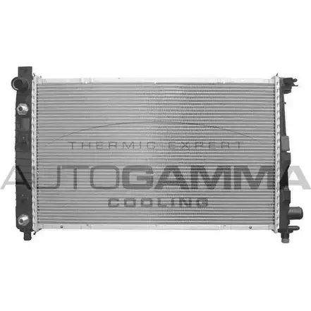 Радиатор охлаждения двигателя AUTOGAMMA 102146 3849472 H2XTPHP T94X N изображение 0
