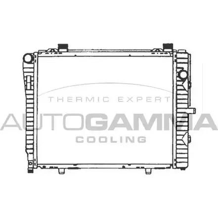 Радиатор охлаждения двигателя AUTOGAMMA 3849489 102166 SR9YLR SK 2ESL1