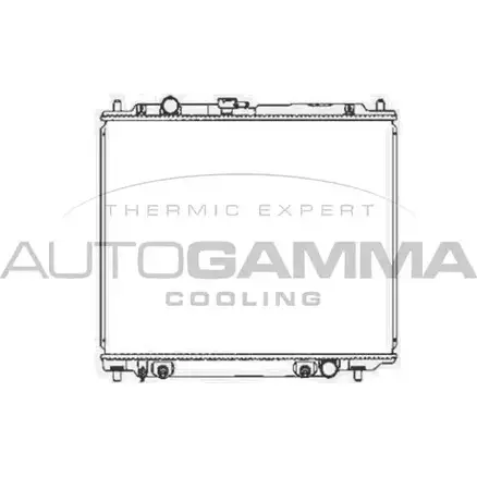 Радиатор охлаждения двигателя AUTOGAMMA 102178 3S3B GXN 3849500 2IXRM