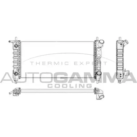Радиатор охлаждения двигателя AUTOGAMMA TWE 2T 102224 QYCUT 3849541