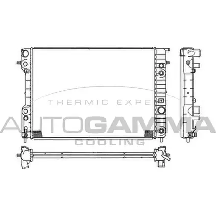 Радиатор охлаждения двигателя AUTOGAMMA 3849567 NFTLM B3 102254 LFO54S7 изображение 0