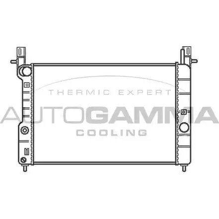 Радиатор охлаждения двигателя AUTOGAMMA U0Z42GK 3849568 102255 TN BB6X изображение 0