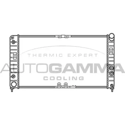 Радиатор охлаждения двигателя AUTOGAMMA 3849577 GRR 62M 102264 H99X7BI изображение 0