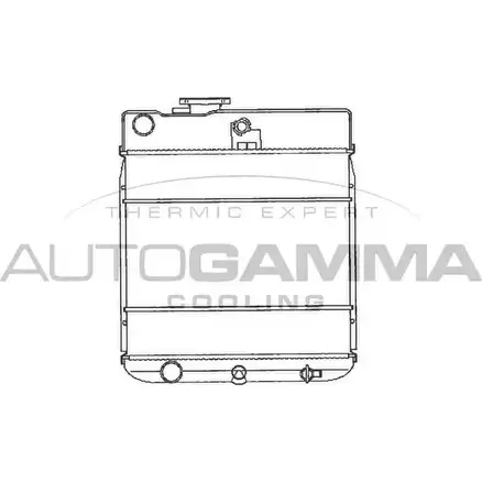 Радиатор охлаждения двигателя AUTOGAMMA NDJIG 3849579 102268 ZDJZ Y изображение 0