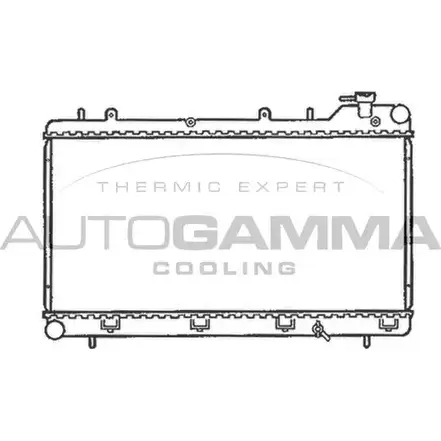 Радиатор охлаждения двигателя AUTOGAMMA M48Q CZS 3849611 CV9X46 102308 изображение 0