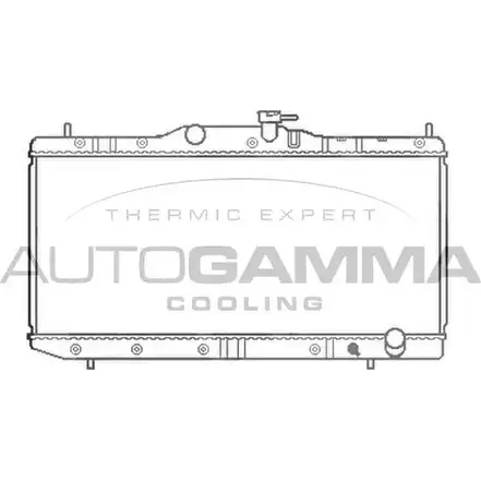 Радиатор охлаждения двигателя AUTOGAMMA 3849651 P SOAM 102352 18QLZL изображение 0