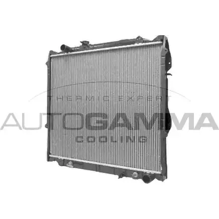 Радиатор охлаждения двигателя AUTOGAMMA 3849665 S4P1DZJ Q RV1QY 102370 изображение 0
