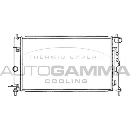 Радиатор охлаждения двигателя AUTOGAMMA 3849708 BY36C FGHN 7 102414 изображение 0