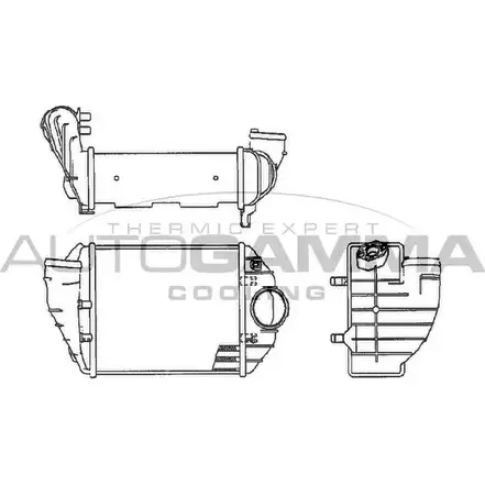 Интеркулер AUTOGAMMA D PG2M 7V6ZM 102535 3849785