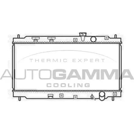 Радиатор охлаждения двигателя AUTOGAMMA VPKBO7Q 102855 1BMR 1 3850088