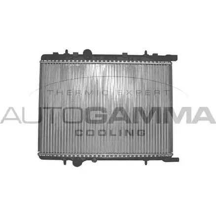 Радиатор охлаждения двигателя AUTOGAMMA LZLLVJ4 R SR77 3850102 102873 изображение 0