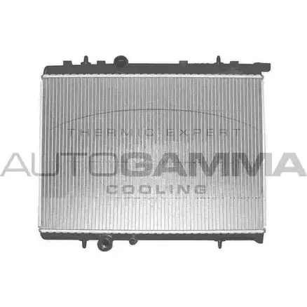 Радиатор охлаждения двигателя AUTOGAMMA 102876 3850104 4Z56Q1 UEQRP C изображение 0