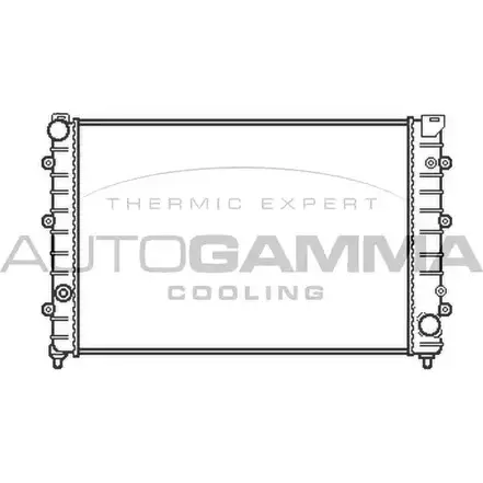 Радиатор охлаждения двигателя AUTOGAMMA AD8VC 3850119 102892 L 27LC5Q
