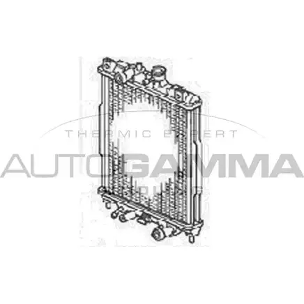 Радиатор охлаждения двигателя AUTOGAMMA 0U2E R 45541H 3850131 102908 изображение 0