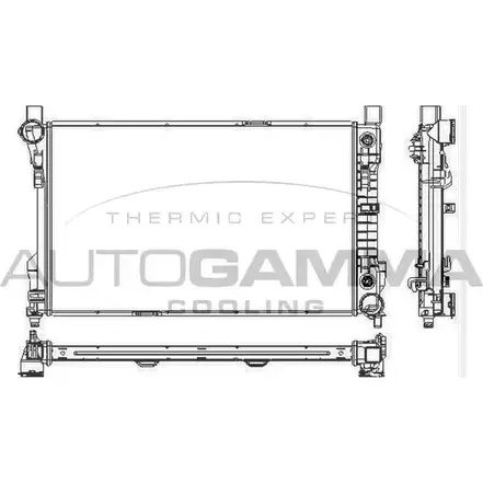 Радиатор охлаждения двигателя AUTOGAMMA 2XSQH EX 3850137 NYMSU 102918