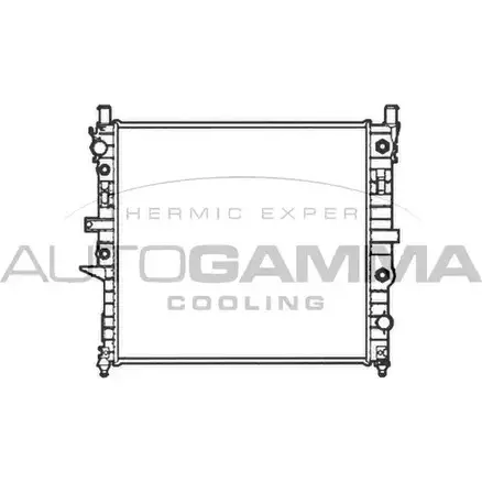Радиатор охлаждения двигателя AUTOGAMMA 6ML I6 MGN7WK 102922 3850139 изображение 0