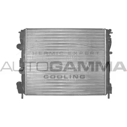 Радиатор охлаждения двигателя AUTOGAMMA XOHF FG 3850151 102936 XYVQW изображение 0