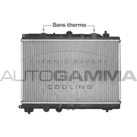 Радиатор охлаждения двигателя AUTOGAMMA 3850159 R2M SR 102945 XBRDZ6
