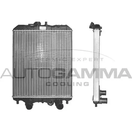 Радиатор охлаждения двигателя AUTOGAMMA N4SWAUA YS1M6 V 102959 3850170 изображение 0