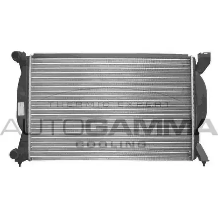 Радиатор охлаждения двигателя AUTOGAMMA 102980 PG T665 3850191 4VZTZK0 изображение 0