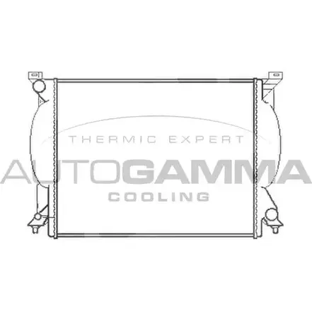 Радиатор охлаждения двигателя AUTOGAMMA 102981 3850192 A73VHJ Z2AYV IS изображение 0
